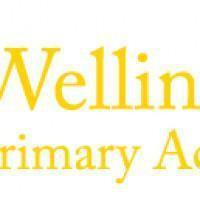 Wellington Primary Academy 