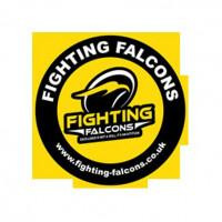 Fighting Falcons